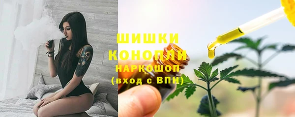 стафф Медногорск