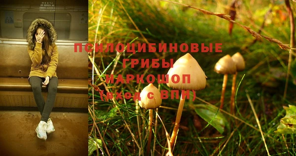 стафф Медногорск