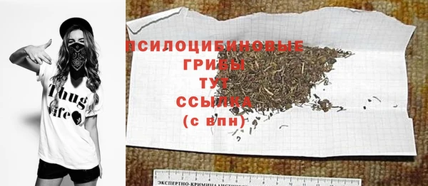 стафф Медногорск