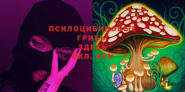 стафф Медногорск