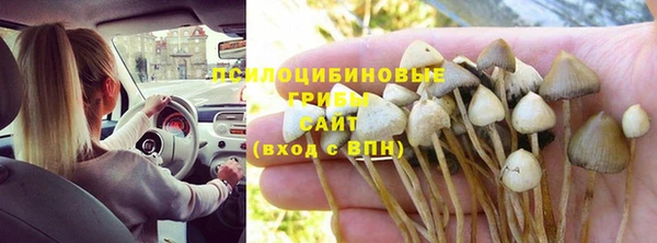 мяу мяу мука Абдулино