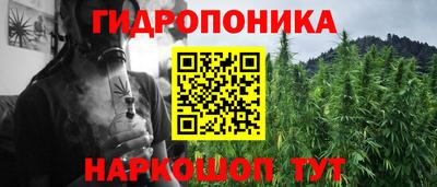 твердый Можга