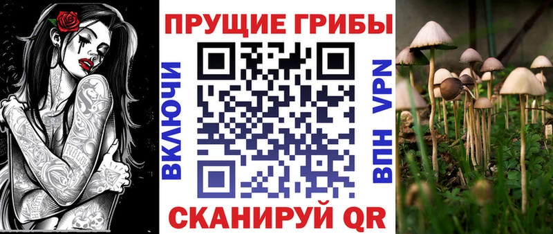 Псилоцибиновые грибы Cubensis  наркошоп  Чебаркуль 