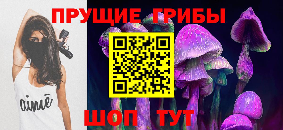 Псилоцибиновые грибы MAGIC MUSHROOMS  Вход с VPN  Чебаркуль 